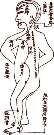 Yang Wei Meridian������ͼ����